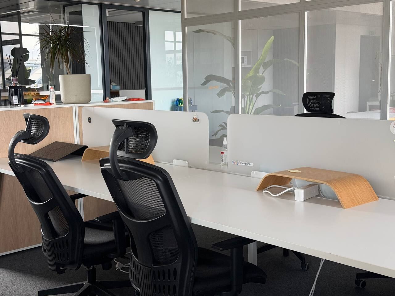 White desks with dividers, plants and glass walls in the open space